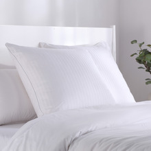 Annie Premium Cotton Euro Pillow Protectors (Set of 2)